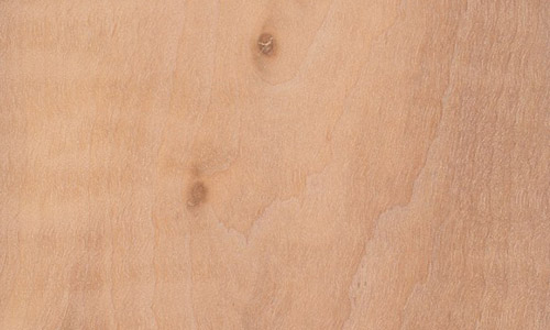 Alder