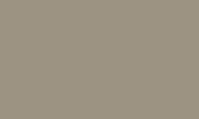 Purilam Plain Color – Grigio Nembo
