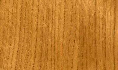 Pitch Pine